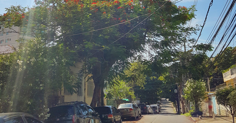 Rua Afonso Arinos no Méier