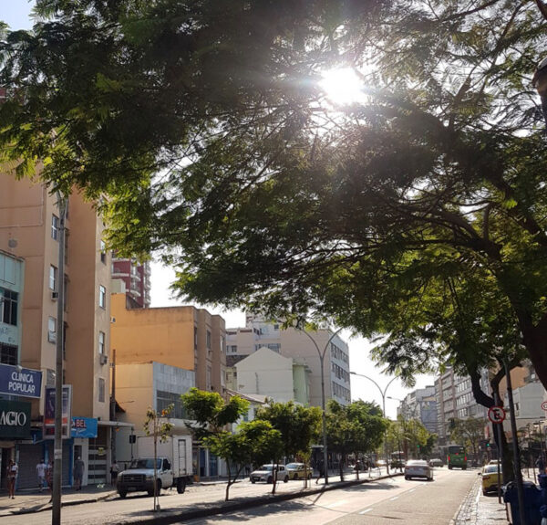 Rua Dias da Cruz no Méier