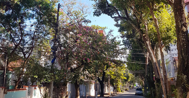 Rua Barão de São Borja no Méier