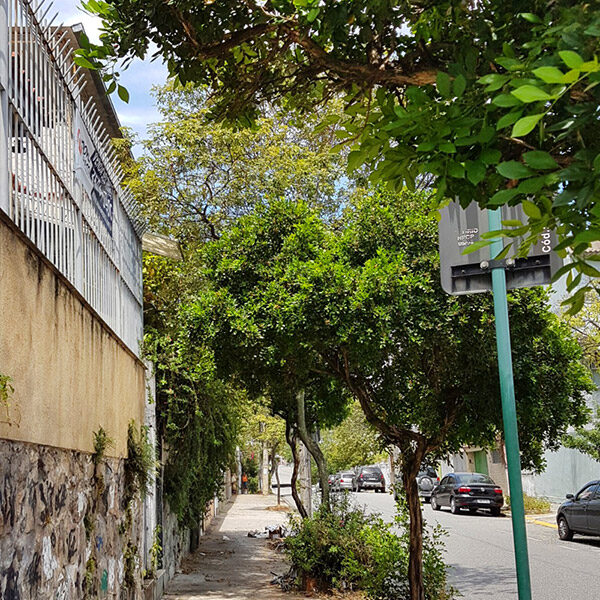 Rua Cônego Tobias no Méier