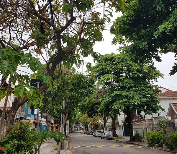 rua Coronel Cota no Méier