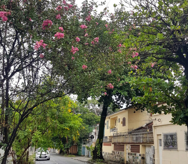 Rua Dona Claudina no Méier