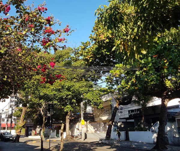 rua Galdino Pimentel no Méier