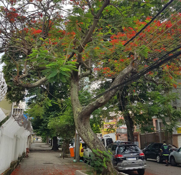 rua jose verissimo no Méier