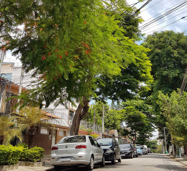 Rua Lopes da Cruz no Méier