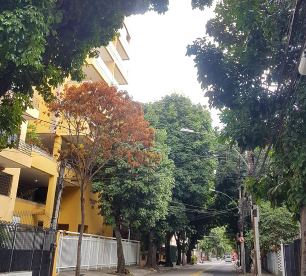 rua Magalhães Couto no Méier