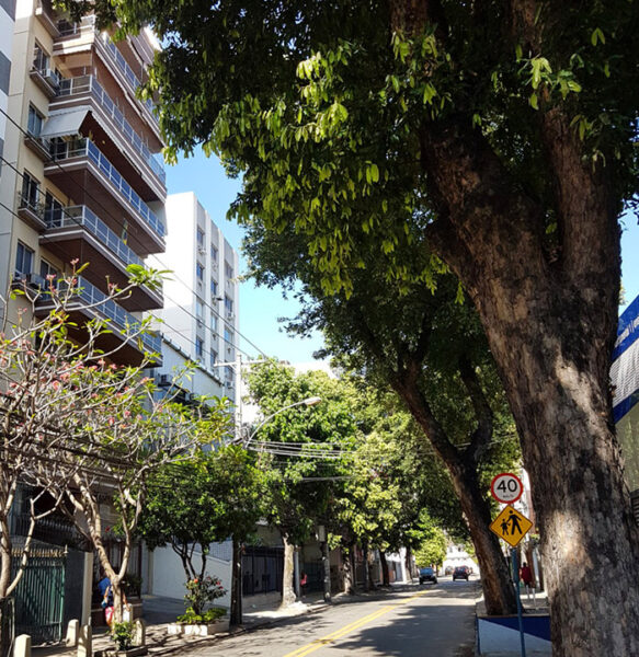 Rua Venceslau no Méier no Rio de Janeiro