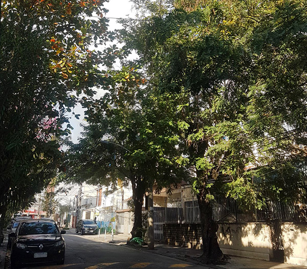 rua Leite Ribeiro no Méier