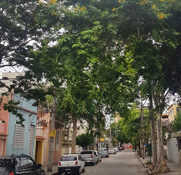 Rua Padre André Moreira