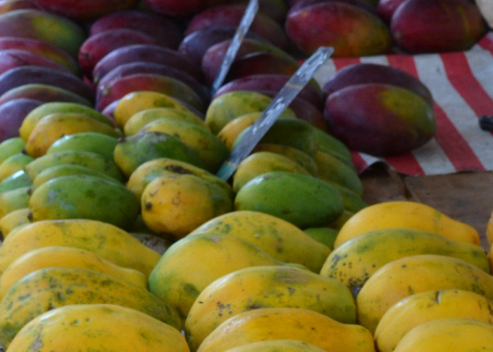 Foto Feira