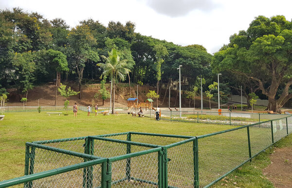 Bosque Dona Ivone Lara no Engenho de Dentro