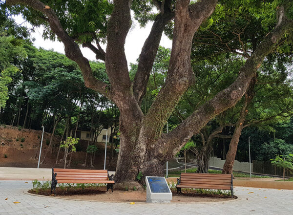 Bosque Dona Ivone Lara no Engenho de Dentro