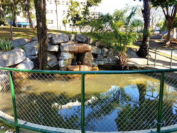 Pequeno Lago da praça no Méier