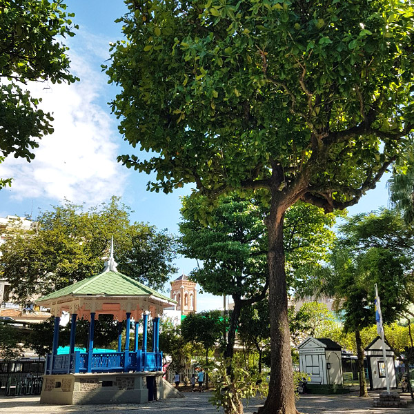 Praça Jardim do Méier