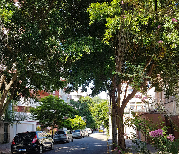 Rua Aquidabã no Méier