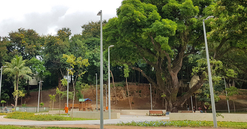 Bosque Dona Ivone Lara no Engenho de Dentro, na zona norte do Rio de Janeiro.