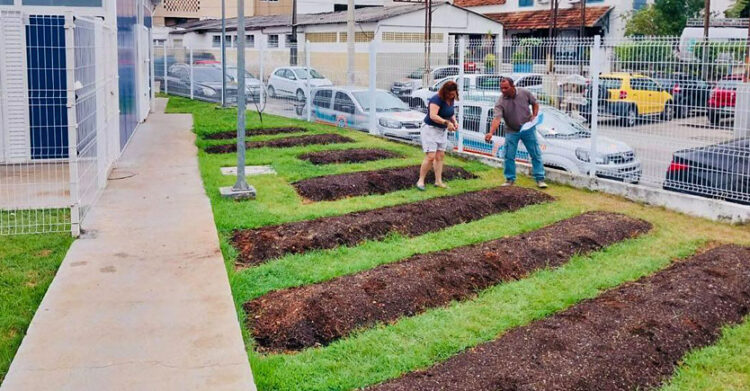 horta comunitária no Méier