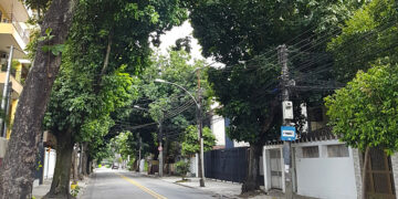 Corredor verde de árvores na rua Magalhães Couto no Méier
