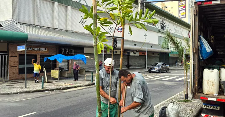 Plantio de árvores na rua Dias da Cruz no Méier
