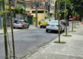 Mudas na rua Manuela Barbosa no Méier