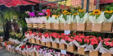 flores no Méier