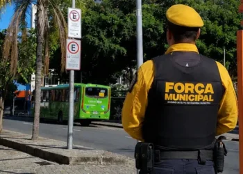Imagem ilustrativa de um guarda da força municipal de costas no Méier