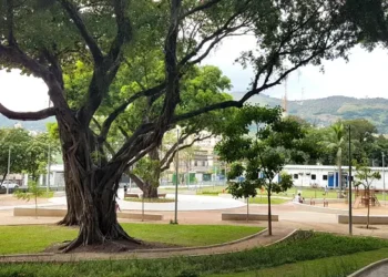 Bosque Dona Ivone Lara no Engenho de Dentro