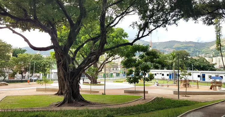 Bosque Dona Ivone Lara no Engenho de Dentro